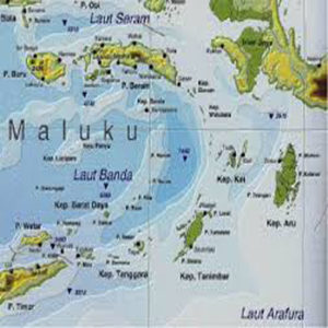 gempa-maluku