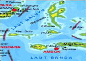 Maluku laut