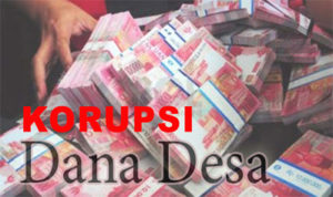 dana desa