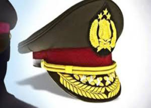 MBD Pol